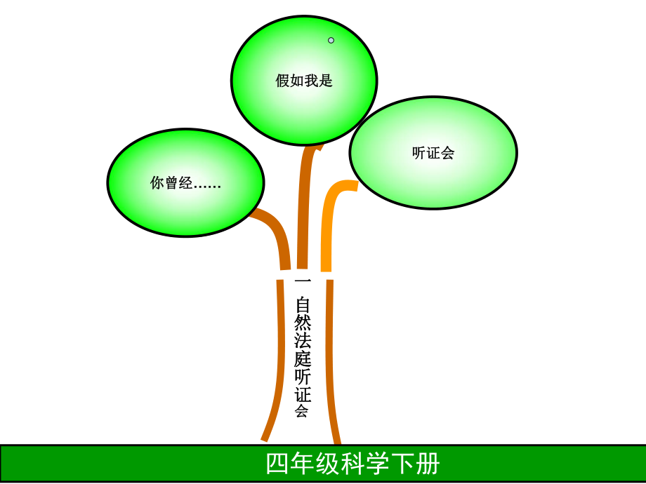 四年级科学知识树.ppt_第2页