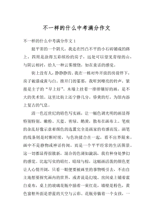 不一样的什么中考满分作文精选.docx