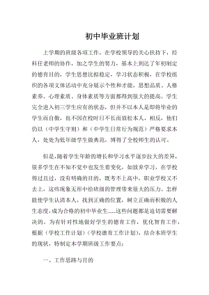 初中毕业班计划.docx