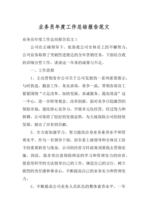 业务员年度工作总结报告范文例文.docx