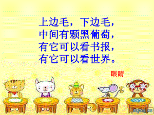 保护眼睛主题班会ppt课件.ppt