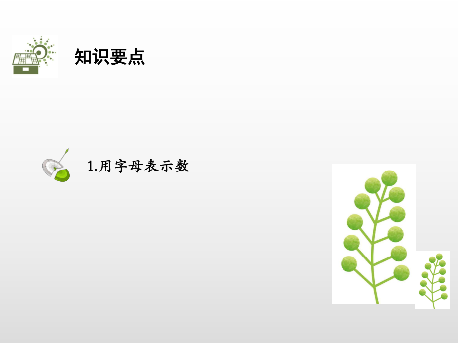 19年秋北师大版七年级数学上册讲解课件：3.1字母表示数(共22张PPT).pptx_第2页