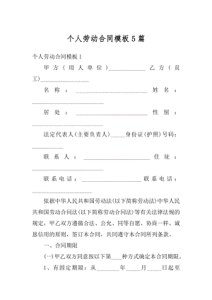 个人劳动合同模板5篇例文.docx