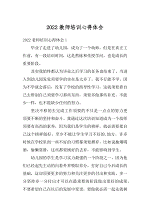 2022教师培训心得体会例文.docx