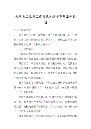 公司员工三月工作自我总结与下月工作计划汇编.docx