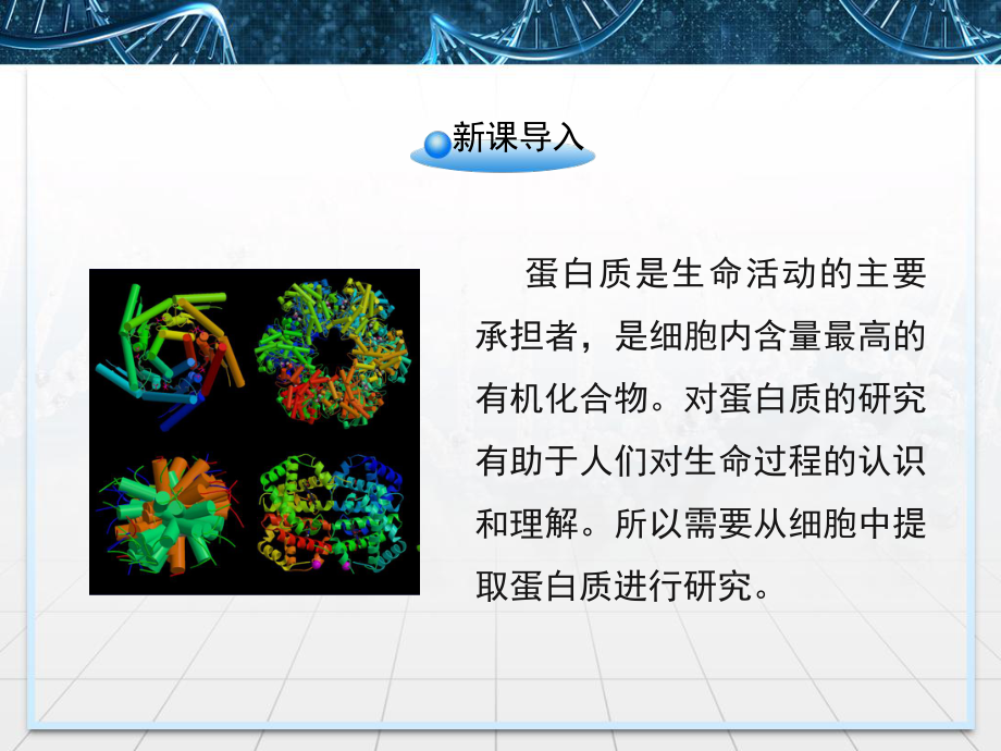 人教版高中生物选修一血红蛋白的提取和分离精品PPT课件.ppt_第2页