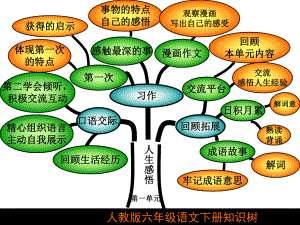 六年级下册语文知识树.ppt