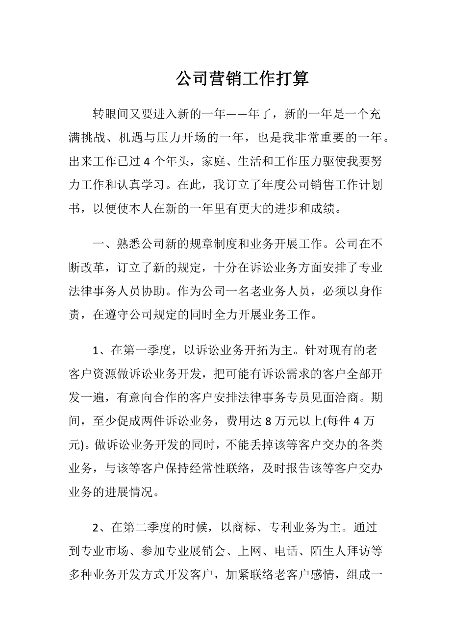 公司营销工作打算.docx_第1页