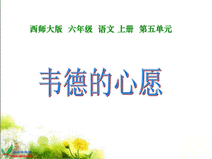 (西师大版)六年级语文上册课件_韦德的心愿_1.ppt