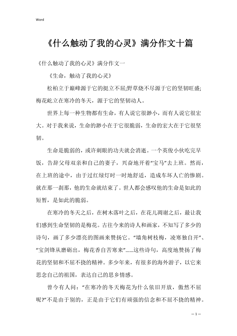 《什么触动了我的心灵》满分作文十篇.docx_第1页