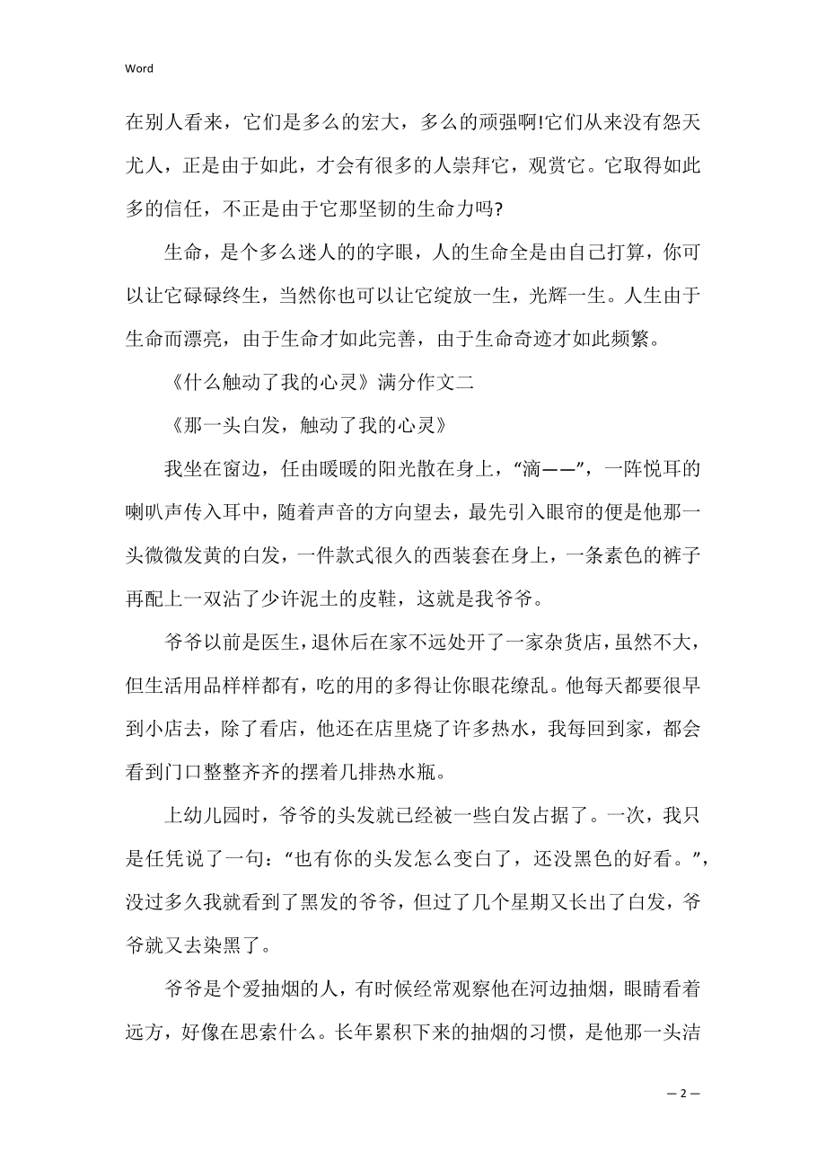 《什么触动了我的心灵》满分作文十篇.docx_第2页