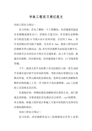 市政工程实习周记范文.docx