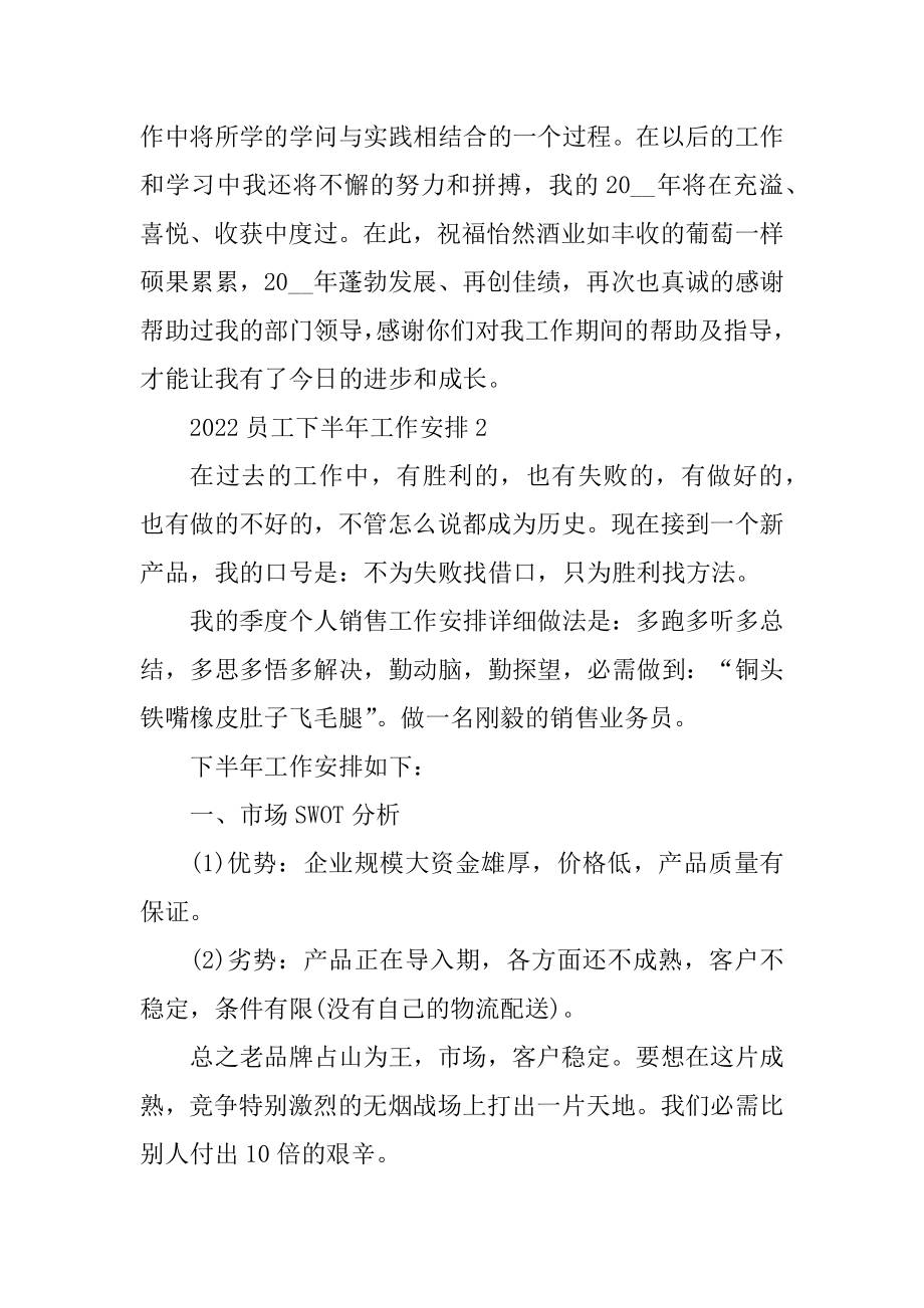 2022员工下半年工作计划文本范本.docx_第2页