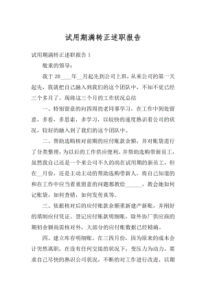 试用期满转正述职报告精选.docx