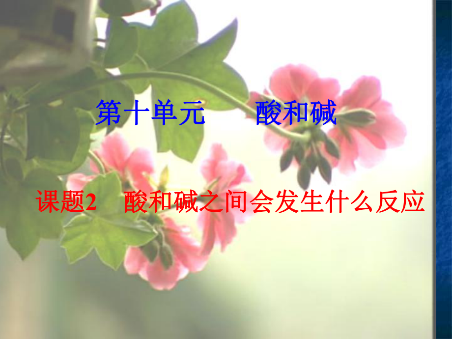 初中化学酸和碱之间会发生什么反应课件.ppt_第1页