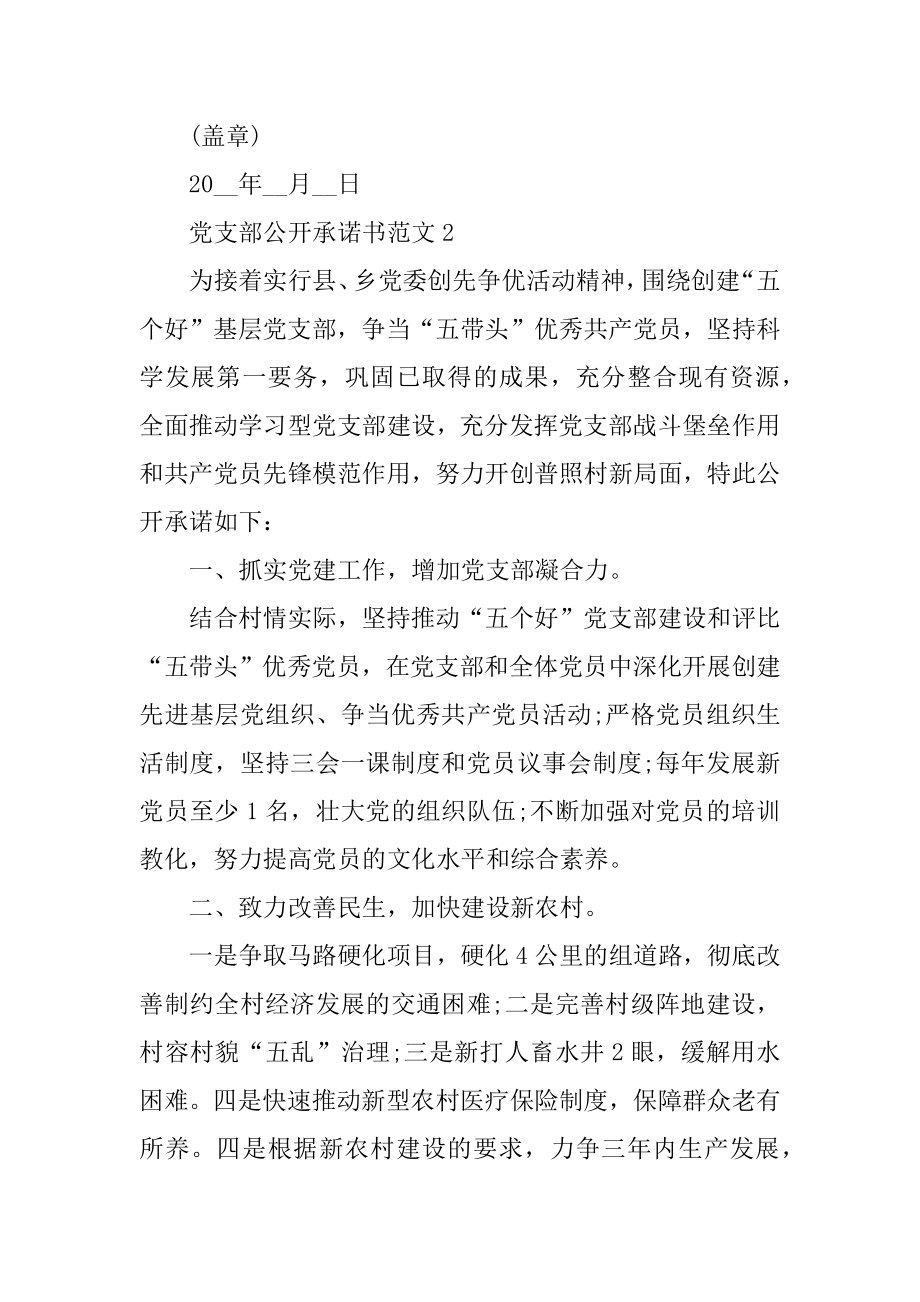 党支部公开承诺书范文5篇范例.docx_第2页