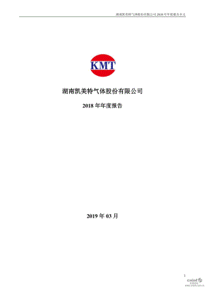 凯美特气：2018年年度报告.PDF