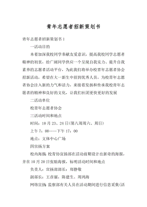 青年志愿者招新策划书例文.docx