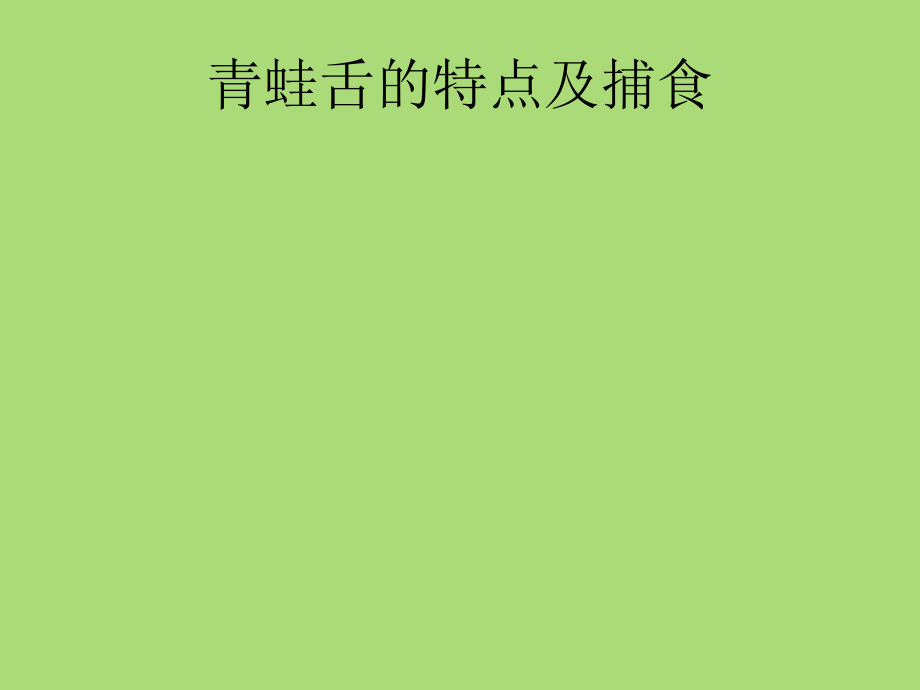 身体的结构(课件).ppt_第1页