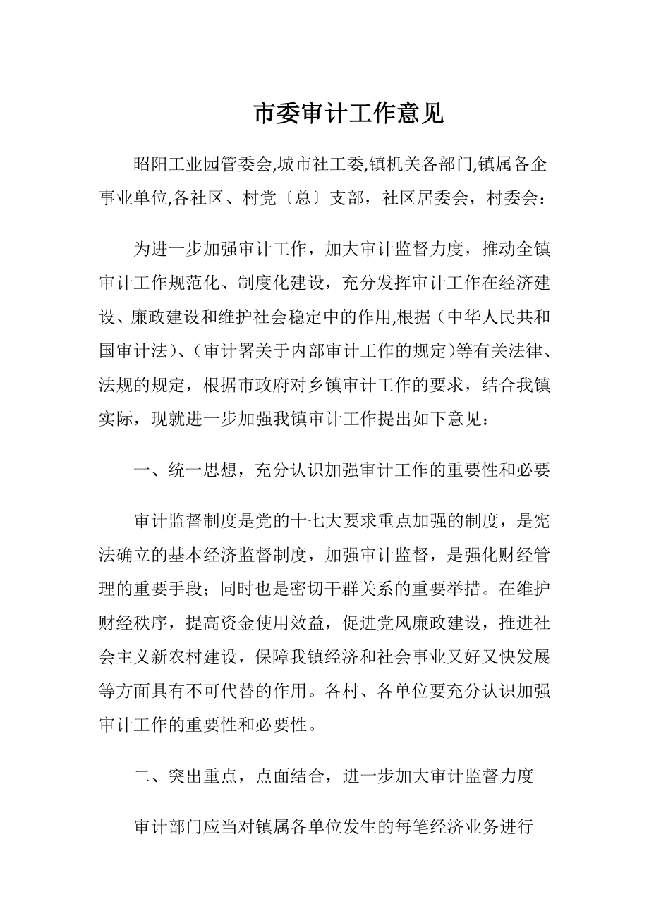 市委审计工作意见.docx_第1页