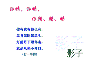 《竹影》课件(1).ppt