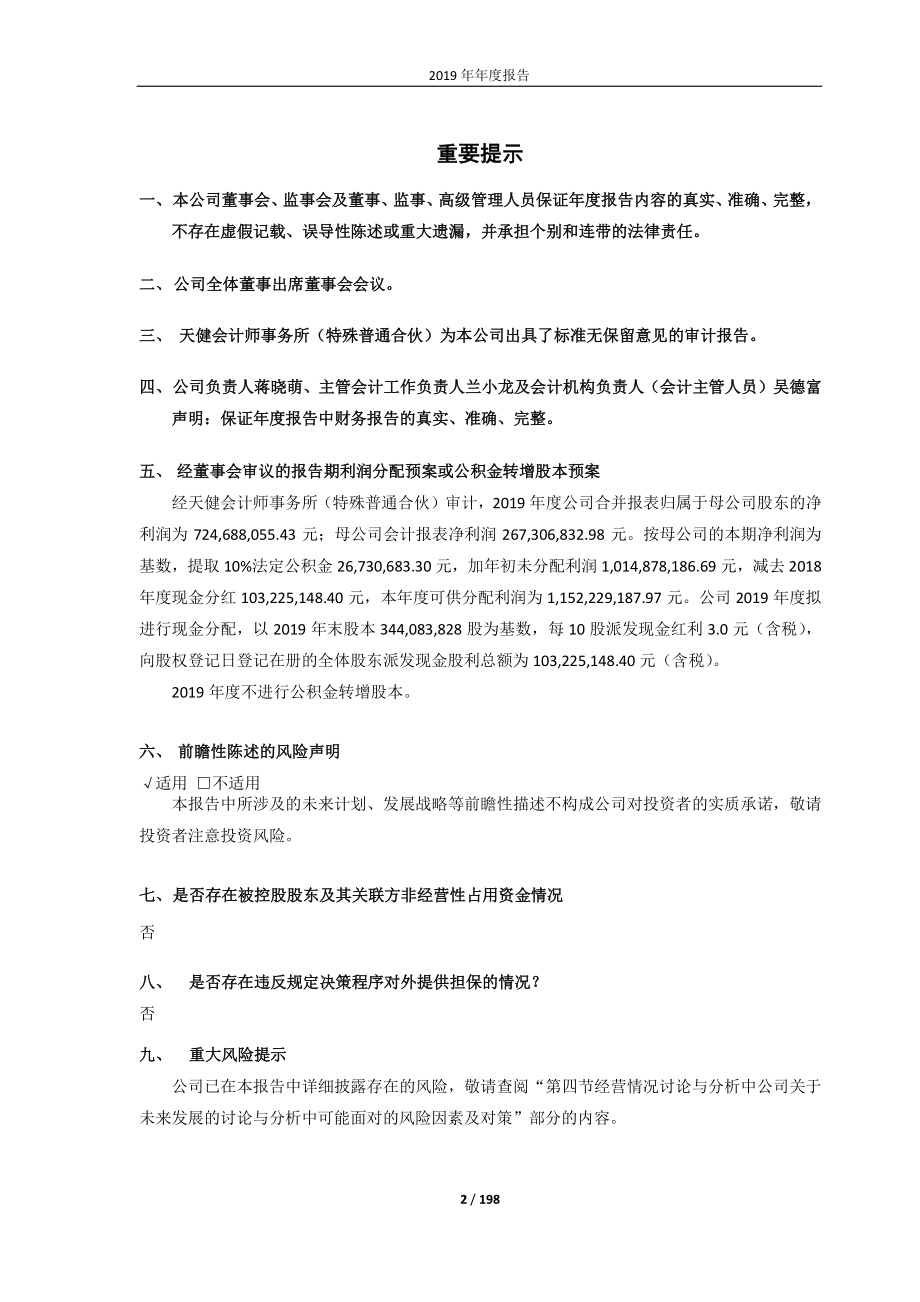 尖峰集团：2019年年度报告.PDF_第2页