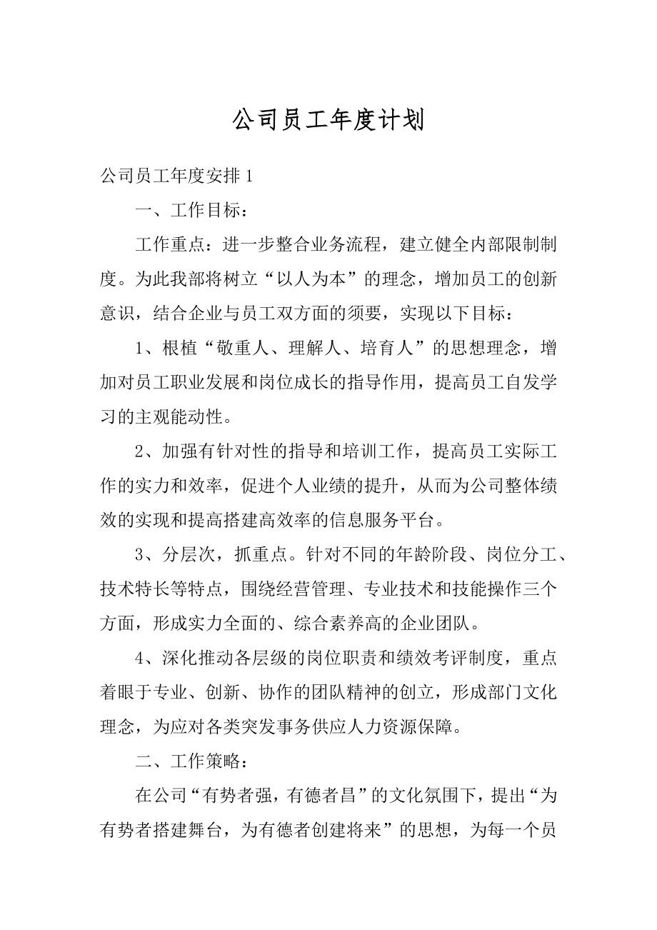 公司员工年度计划例文.docx_第1页