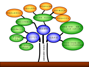 六年级下册三单元重难点知识树.pptx