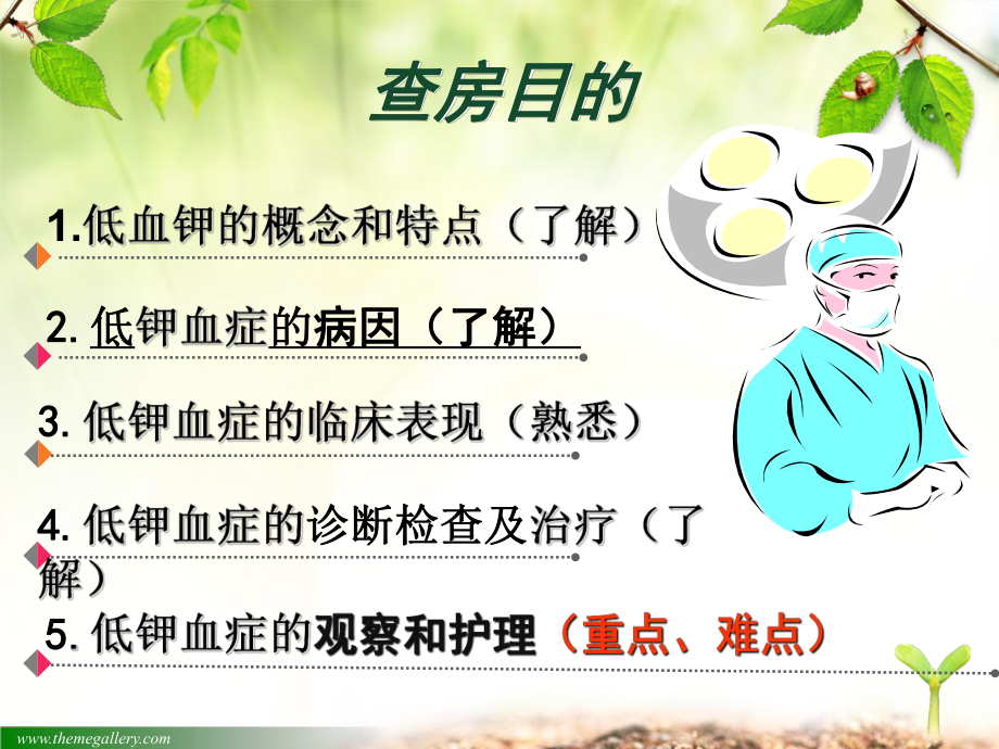 低钾血症的观察与-护理ppt课件.ppt_第2页