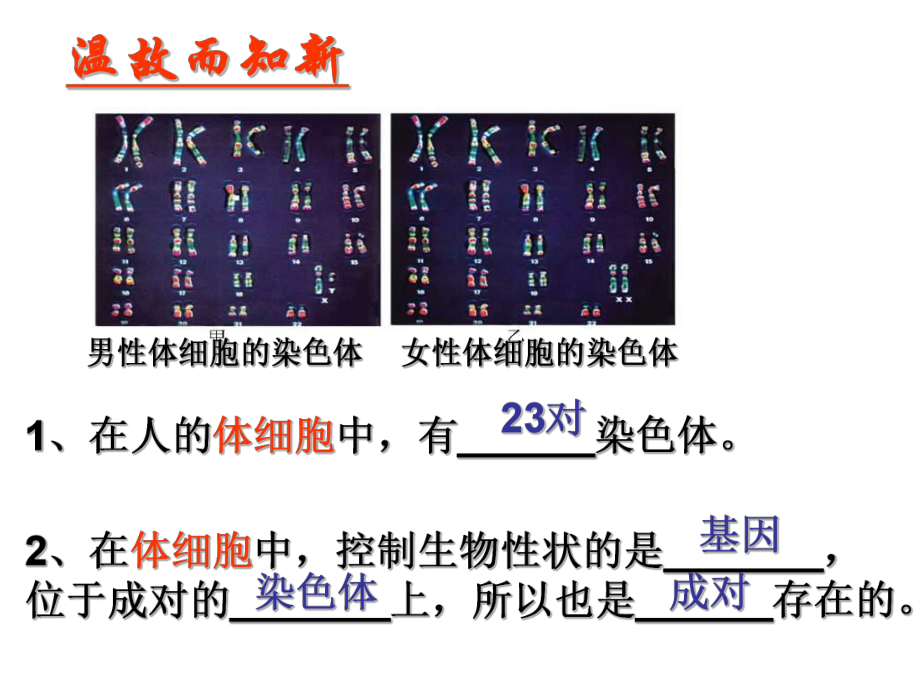 北师大版生物八上第三节《_性状遗传有一定的规律性》pp].ppt_第1页