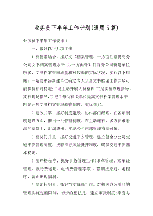 业务员下半年工作计划最新.docx