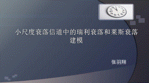 小尺度衰落信道中的瑞利衰落和莱斯衰落建模ppt课件.ppt