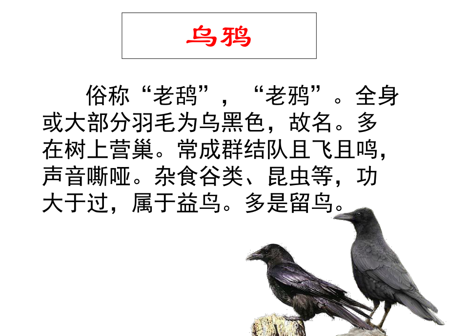 苏教版二下识字8.ppt_第2页