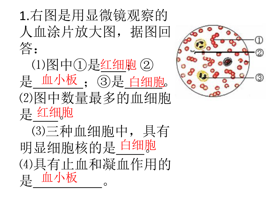 初中生物总复习题ppt课件.ppt_第1页