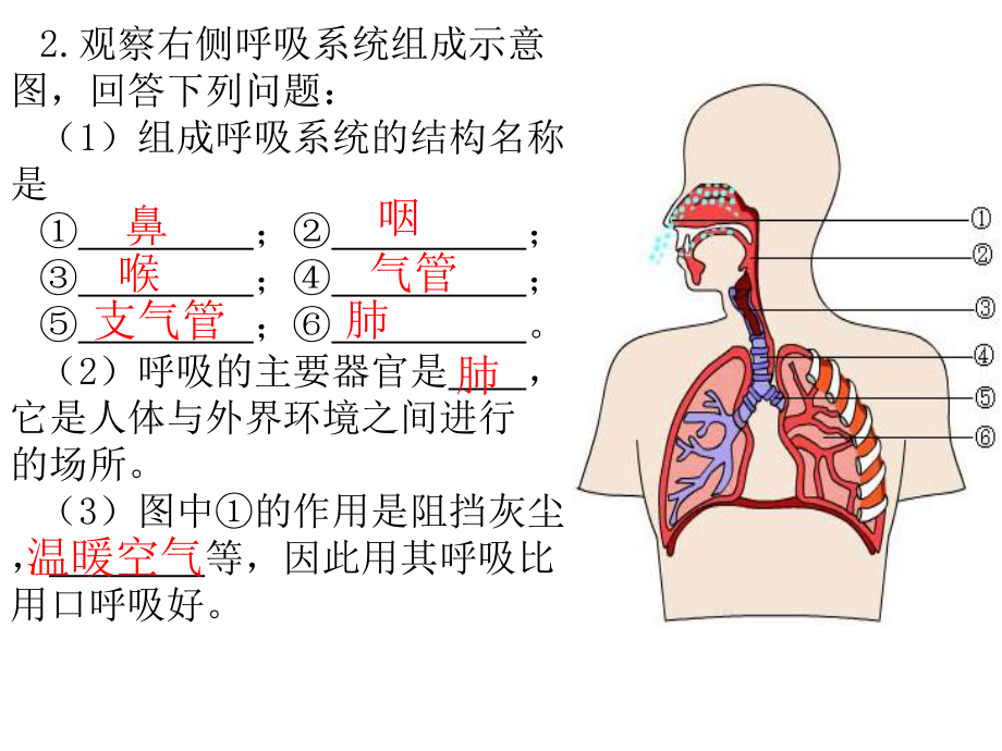 初中生物总复习题ppt课件.ppt_第2页