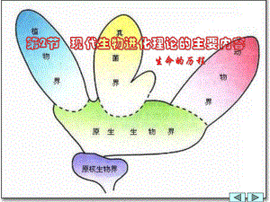 现代生物进化理论的主要内容0(4).ppt