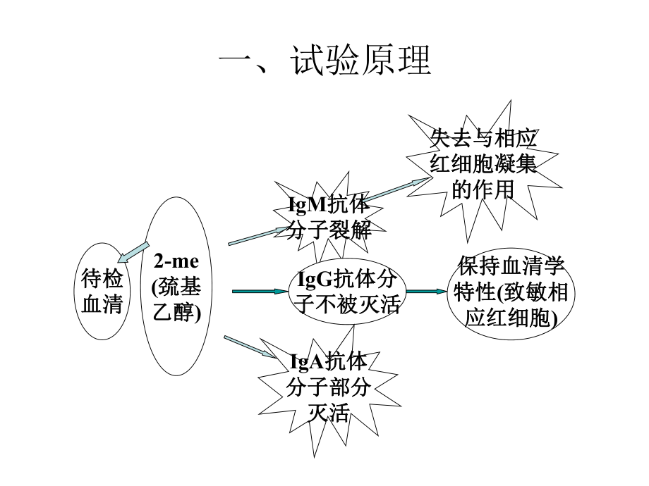 效价测定ppt课件.ppt_第2页