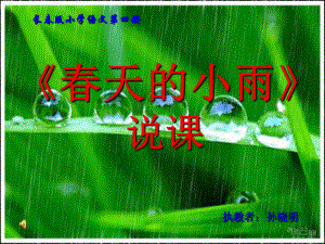 《春天的小雨》说课课件.ppt