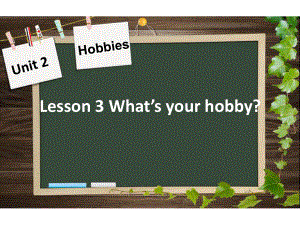 四年级下册英语课件- 《Unit 2 Hobbies Lesson 3 What's your hobby》 鲁科版（共20张ppt）.ppt