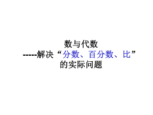 复习：数与代数.ppt