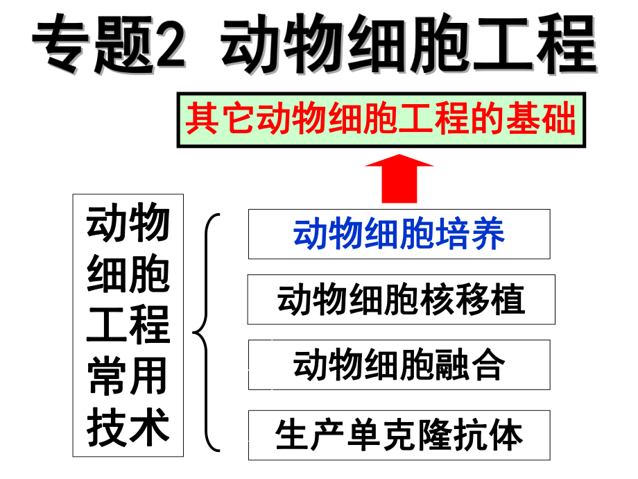 动物细胞培养ppt课件.ppt_第1页