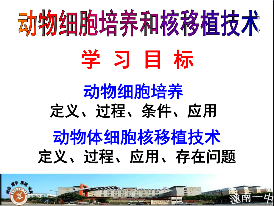 动物细胞培养ppt课件.ppt_第2页