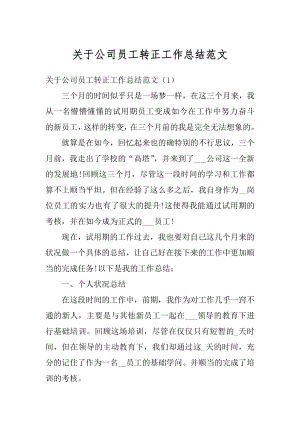 关于公司员工转正工作总结范文.docx