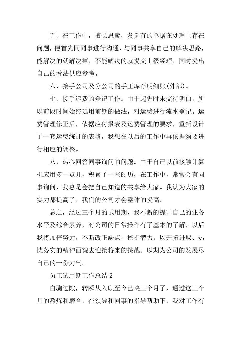 员工试用期工作总结例文.docx_第2页