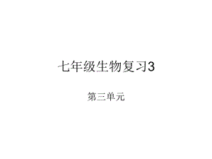 人体的呼吸专题复习ppt课件.ppt