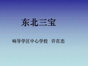 许在忠东北三宝.ppt