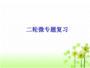 二轮热点复习：依法治国.ppt