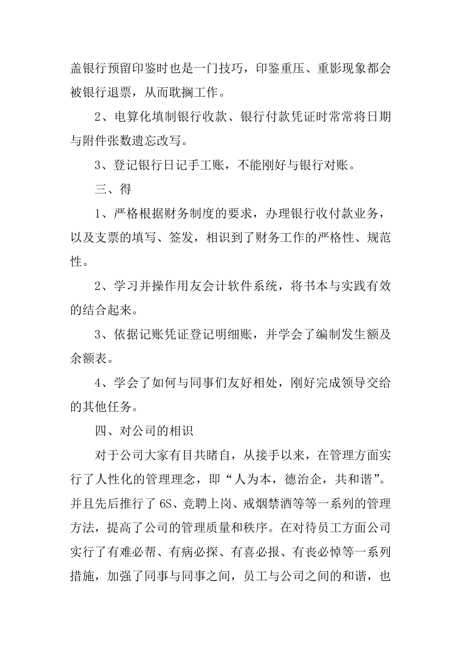 出纳试用期转正总结例文精编.docx_第2页