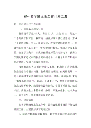 初一实习班主任工作计划五篇范例.docx