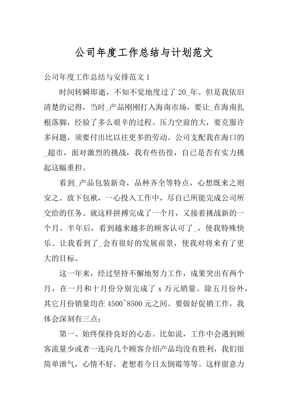 公司年度工作总结与计划范文精编.docx_第1页